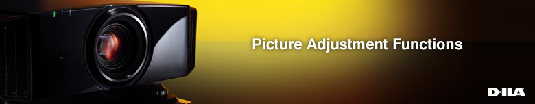 Picture Adjustment Functions