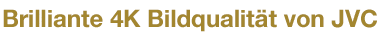 Brilliante 4K Bildqualität von JVC