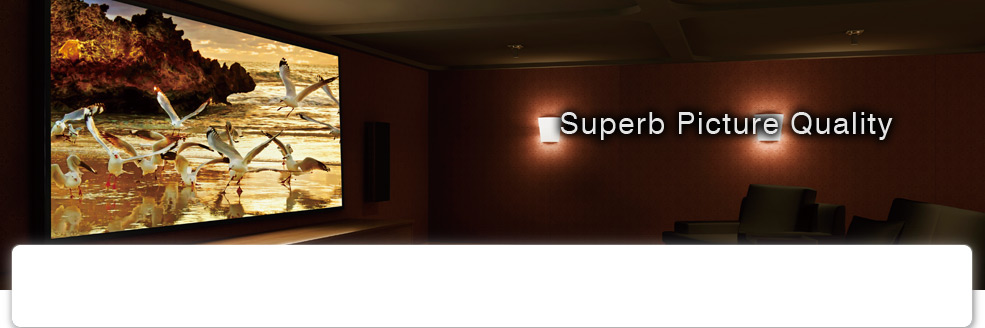 Superb Picture Quality