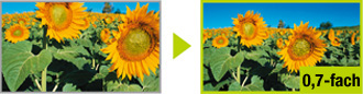 0,7-fach