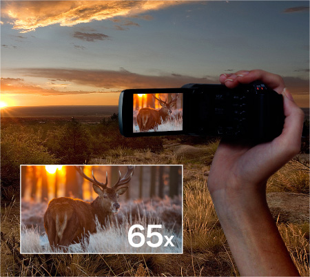 Bis zu 65-facher Dynamischer Zoom