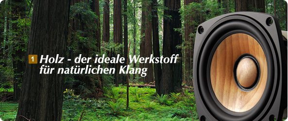 Holz - der ideale Werkstoff fr natrlichen Klang